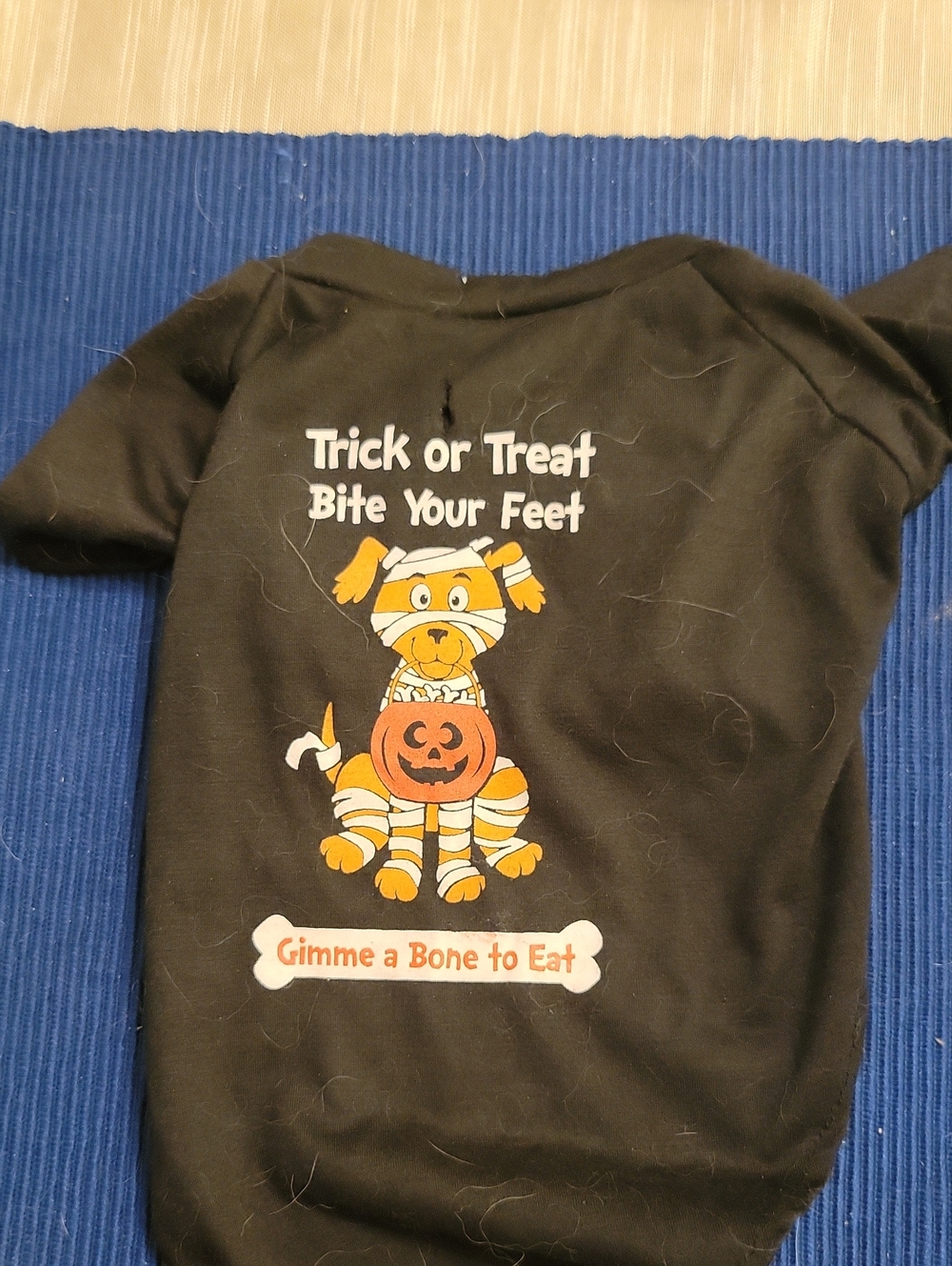 Source Unknown Black Dog Halloween Tee with Orange & White Graphic